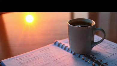 Organización y enfoque para la libertad